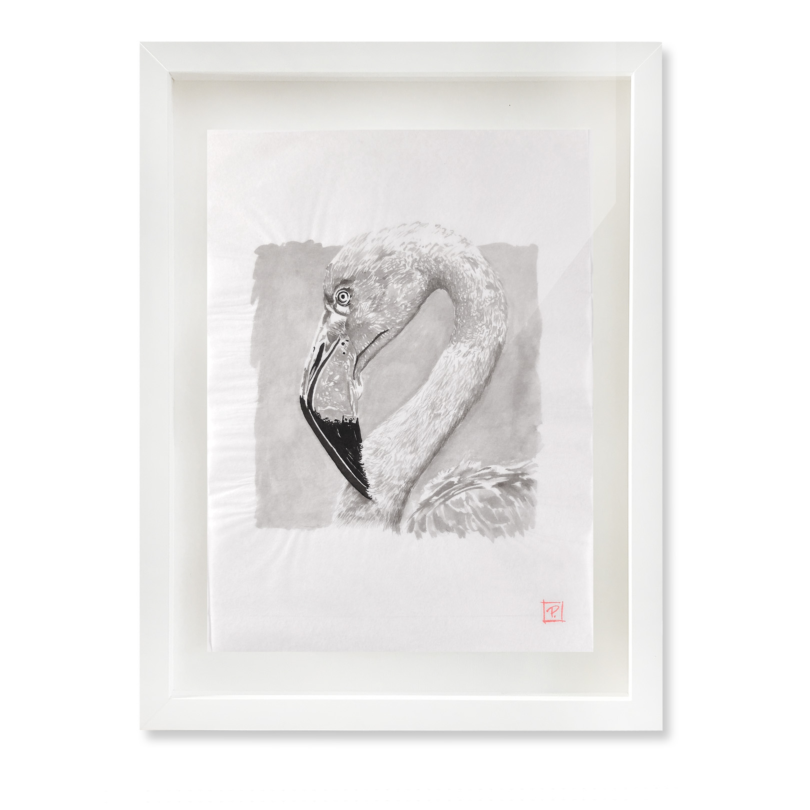 Grey_flamingo