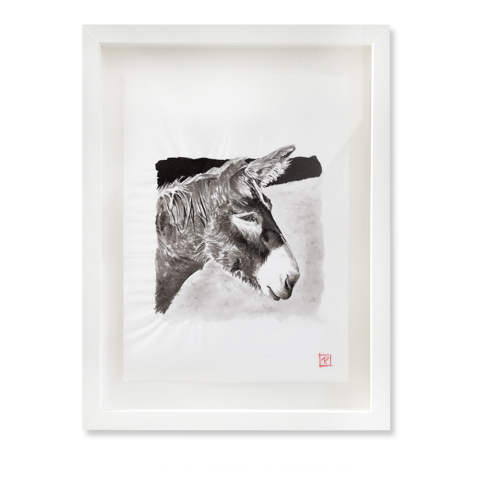 Quiet_Donkey