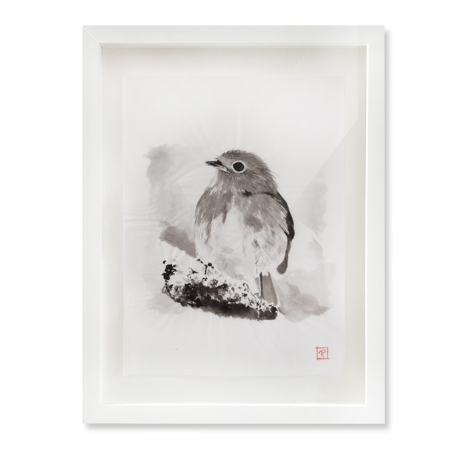 Robin