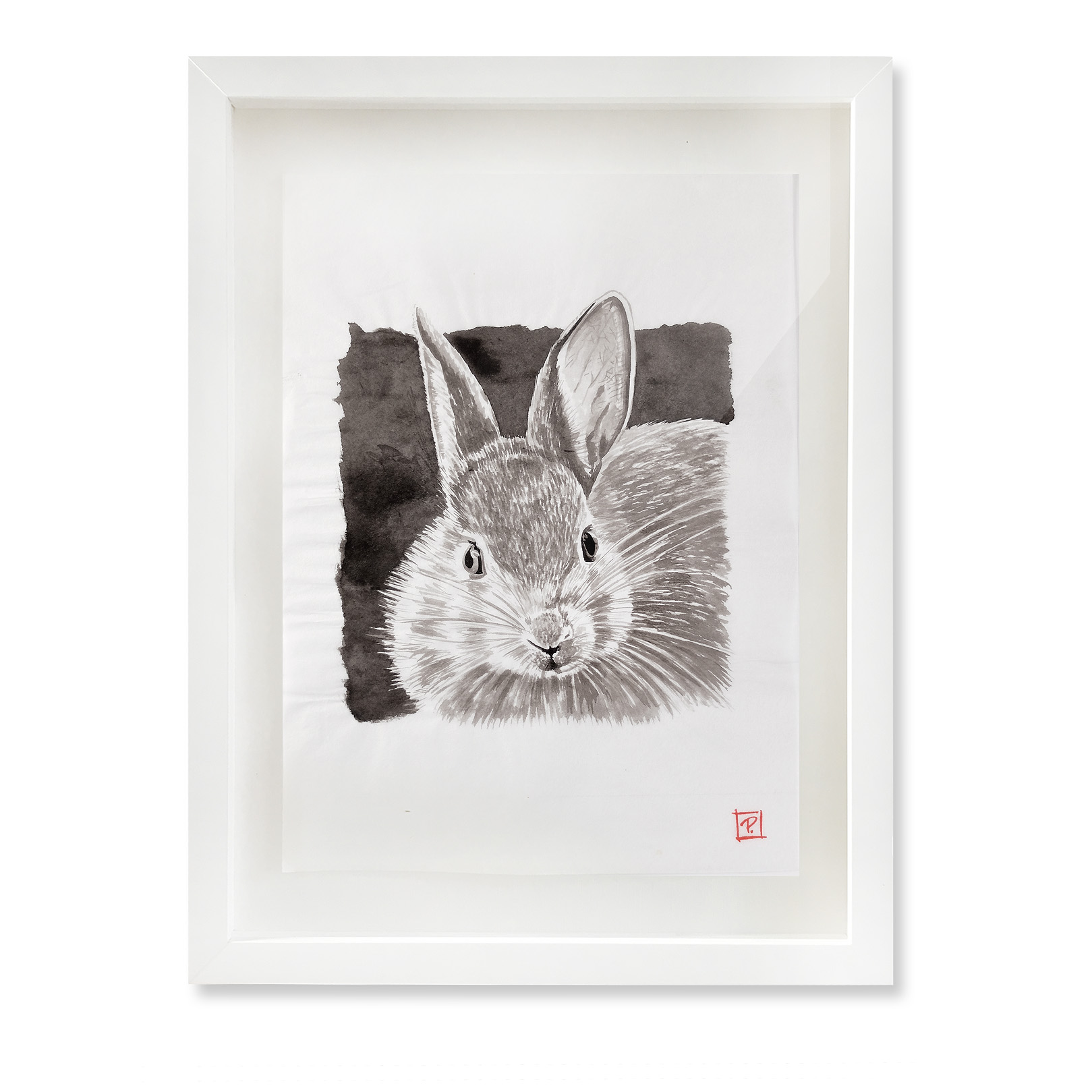 Scared_Rabbit