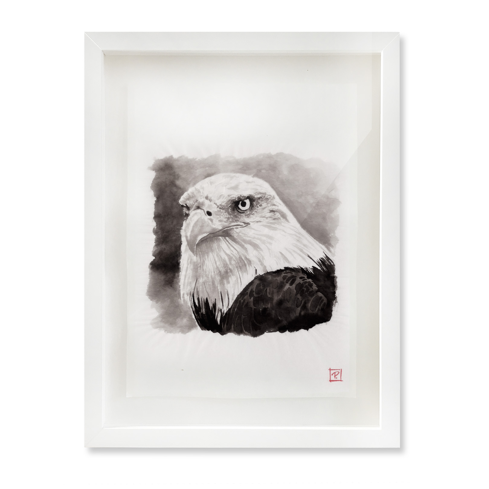 Serious_Bald_Eagle