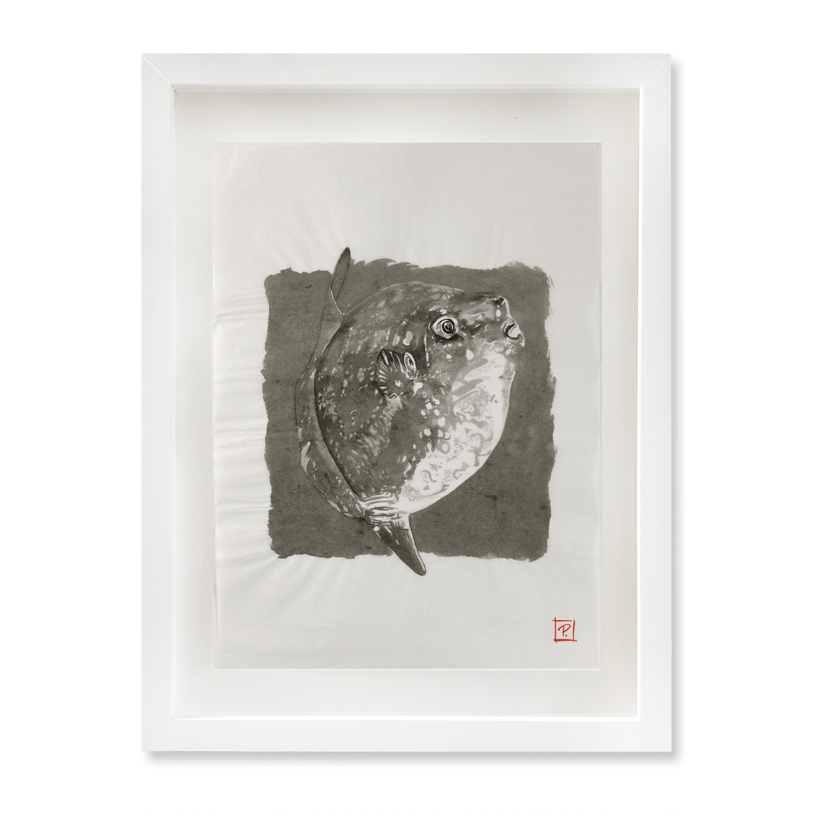 Sunfish