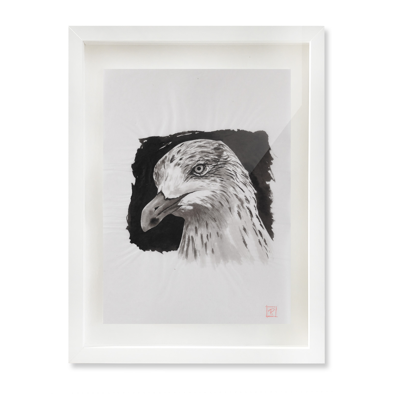YoungGull