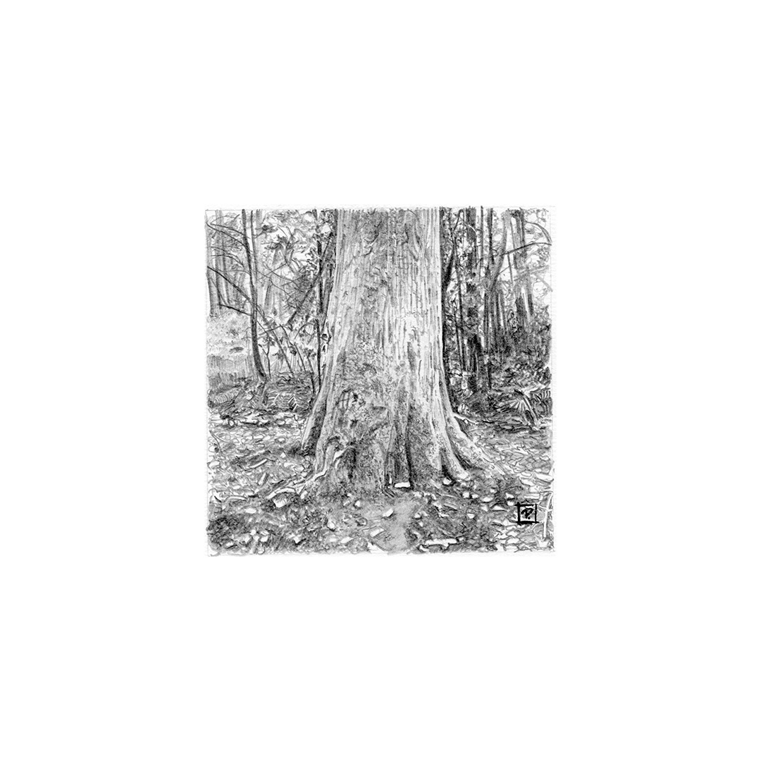 Brocéliande